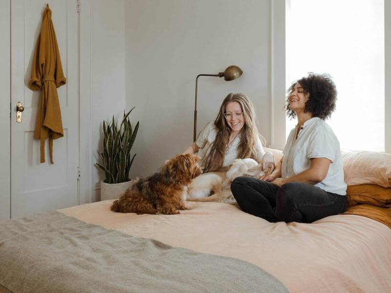 friends relaxing with pets indoors